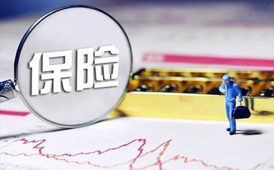 為什么你的第一份保單不應該是兩全險？網絡文化經營視角解析
